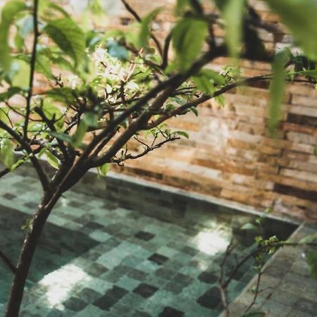 Tropical House - Villa Com Piscina Perto Do Mar Жижока-ди-Жерикуакуара Экстерьер фото